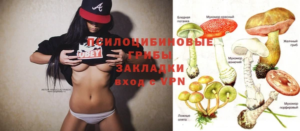 эйфоретик Беломорск