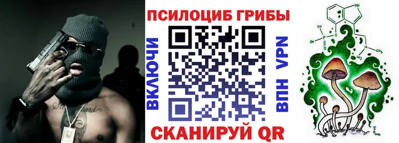 Купить закладки  Удомля  Галлюциногенные грибы мицелий 