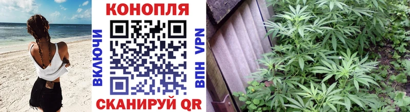 Бошки марихуана SATIVA & INDICA Удомля